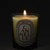 Cannelle (cannelle) – bougie classique