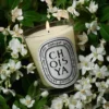 Choisya (fleur d&rsquo;oranger) – bougie classique