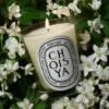 Choisya (fleur d&rsquo;oranger) – bougie classique