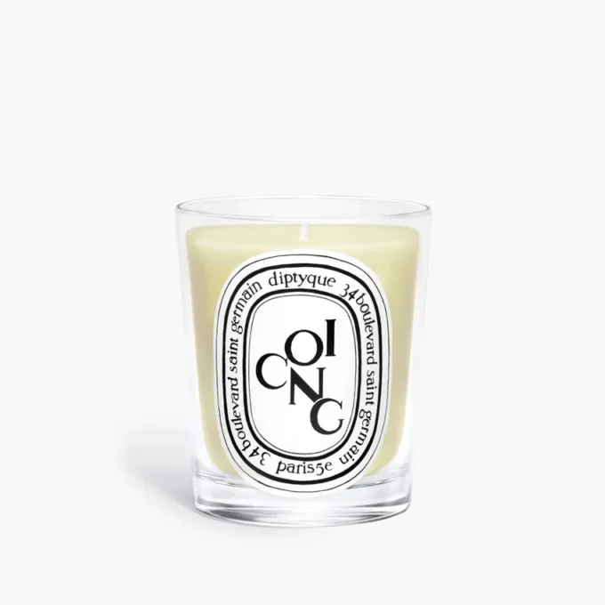 Coing – bougie classique