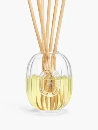Diffuseur de parfum pour la maison – récipient en verre – 100 ml