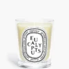 Eucalyptus – bougie classique