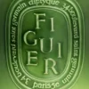 Figuier – très grande bougie