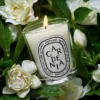 Gardenia – bougie classique
