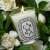 Gardenia – bougie classique