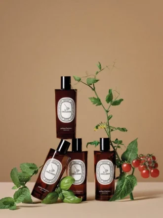 la droguerie spray d ambiance dsodorisant au basilic 2 330x440 - La Droguerie - spray d'ambiance d&eacute;sodorisant au basilic