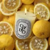 Oyado – bougie classique