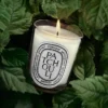 Patchouli – bougie classique