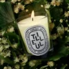 Tilleul – bougie classique